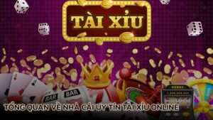 tong-quan-ve-nha-cai-uy-tin-tai-xiu-online