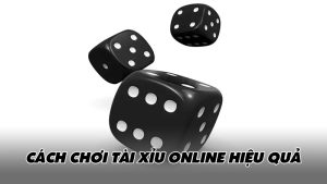 Cách chơi tài xỉu online hiệu quả