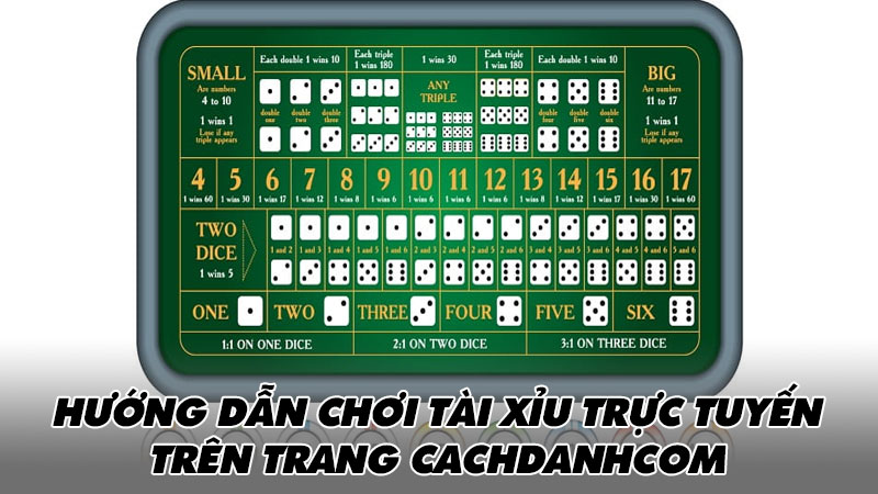 Hướng dẫn chơi tài xỉu trực tuyến trên trang cachdanhcom